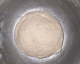 Foto del paso 3 de la receta: Pan de Hamburguesa con Harina de Fuerza
