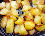 Táo Tây Ta thử (4 T) bước làm 9 hình