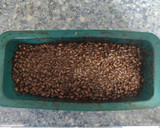 Foto del paso 3 de la receta: Turrón de chocolate tipo Suchard