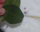 Foto langkah ke 2 dari resep Nasi Uduk Palembang.
