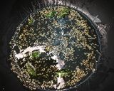 A picture of step 6 of खांडवी Khandvi.