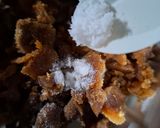 Foto langkah ke 1 dari resep Es Bubur Kacang Hijau Kental.
