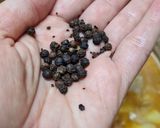 Foto del paso 13 de la receta: 64. Guiso de chocos con patatas