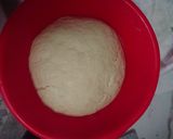 Foto del paso 8 de la receta: Pizza napolitana, con una masa esponjosa y crujiente