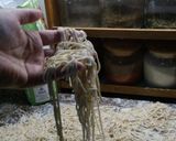 Foto del paso 3 de la receta: Tallarines caseros (muy fácil)