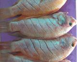 Foto langkah ke 1 dari resep Ikan Nila Goreng Crispy Mommylicious.