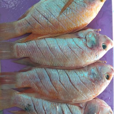 Langkah 1