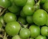 A picture of step 1 of Fenugreek Stuffed Gumberries (Gunda).