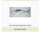 Foto langkah ke 1 dari resep Ikan goreng isi cabe.