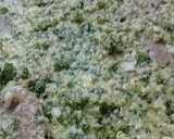 Foto del paso 5 de la receta: Lengua a la vinagreta