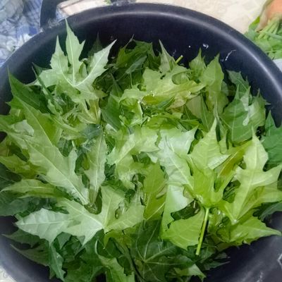Langkah 2