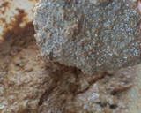 Foto del paso 4 de la receta: Budín de coco y harina integral