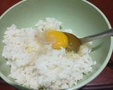 Foto langkah ke 1 dari resep Dadar Nasi Simpel.