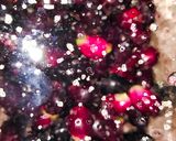 รูปขั้นตอนการทำที่ 3 ของ นำ้ส้มสายชูลูกหว้า (Black plum vinegar)