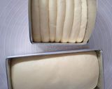 Foto langkah ke 3 dari resep Milk Bread / Resep dasar roti / roti tawar tanpa telur.