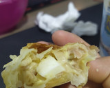 Foto del paso 4 de la receta: Empanadas fáciles y rápidas de atún