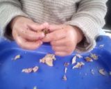 Foto del paso 2 de la receta: Brócoli a las brazas