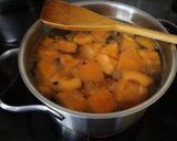 Sárgabarack leves áfonyával recept fázis 1 fotója