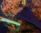 Foto langkah ke 1 dari resep Rabeg Daging Sapi khas Banten.