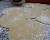 Foto del paso 2 de la receta: Empanadas criollas con masa casera