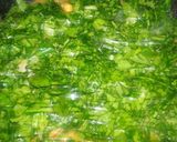 A picture of step 4 of Shaljum Palak chicken.