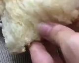 Hình bước làm 4 của món Bánh mì bơ sữa