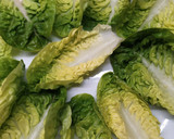 Foto del paso 1 de la receta: Cogollos de lechuga rellenos de atún y pimientos