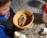 Foto del paso 2 de la receta: Galletitas saladas saludables para hacer con niños🥰