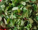 A picture of step 1 of Hari chutney😋.