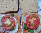 A picture of step 3 of Nutritious Brown bread sandwich.