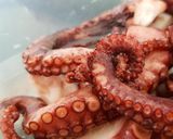 Foto del paso 3 de la receta: Pulpo fusión con yuca, wok de verduras y salsa de ostras 🔥🔥🔥