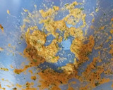 Foto del paso 5 de la receta: Pollo abierto asado en salsa de baharat y Sindhi biryani