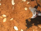 গাজরের ক্ষীর (Gajarer kheer recipe in Bengali)