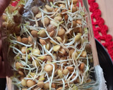 Foto del paso 8 de la receta: Brotes de lentejas al limón 🌱🍋 Germinado de lentejas alimonadas 🌱 🍋