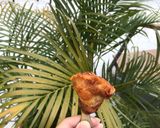 รูปขั้นตอนการทำที่ 3 ของ ไก่ตุ้มทอดแสนอร่อย สุดcute🍗🍖