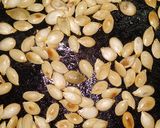 Foto del paso 4 de la receta: Pepitas de zapallo crocantes