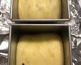A picture of step 17 of Ultra soft Matcha Bread （with Yudane or Tangzhong Method) —— for my friend， Eve.