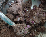 கேழ்வரகு அடை ரெசிபி ஸ்டேப் 1 புகைப்படம்