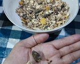 Foto langkah ke 1 dari resep Muesli n Fruit.