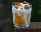 Foto del paso 6 de la receta: Helado de yogur y coulis de albaricoque