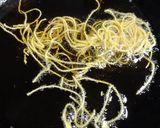 A picture of step 4 of Sev.