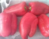 Foto del paso 1 de la receta: 🌶️ Zorongollo 🍅🧅