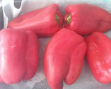 Foto del paso 1 de la receta: 🌶️ Zorongollo 🍅🧅
