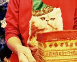 Foto del paso 12 de la receta: Tarta-caja neapolitan cake
