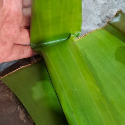 Langkah 5