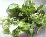 A picture of step 1 of Mint Paste.