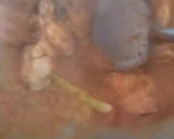 Foto langkah ke 2 dari resep Ayam Saksang Bumbu Andaliman Khas Batak.