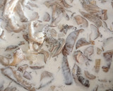 Foto del paso 4 de la receta: Salsa de hongos