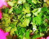 A picture of step 9 of Shahi Mutton kofta.