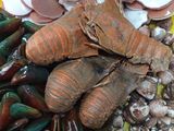 Bancakan Seafood